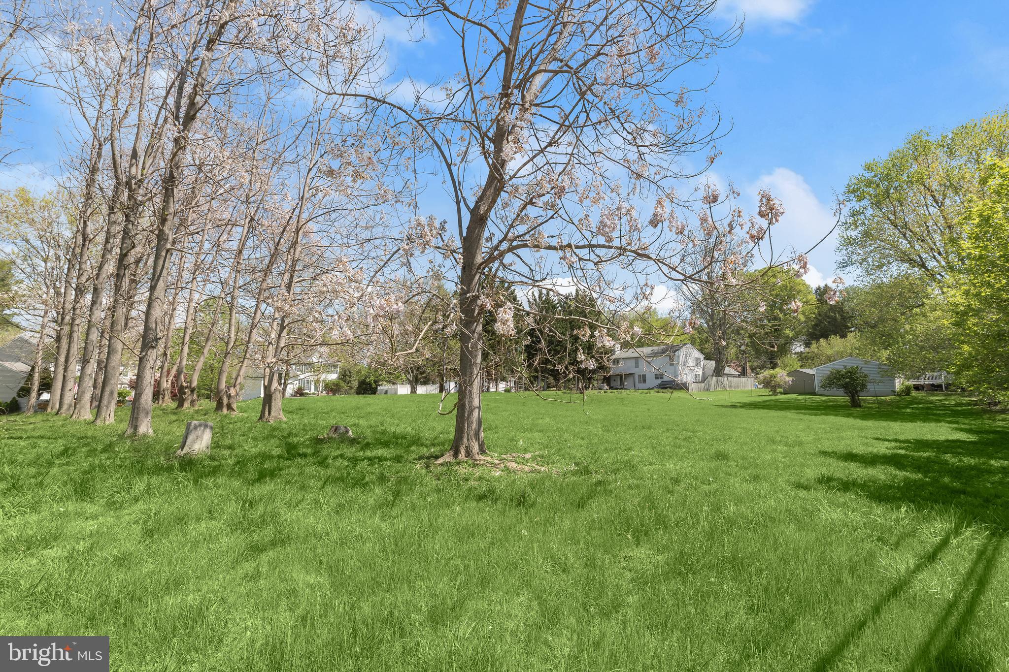 9100 Whitehall Road Ellicott City, MD 21042 - Photo 5 of 13 a view of backyard with huge green area and large trees