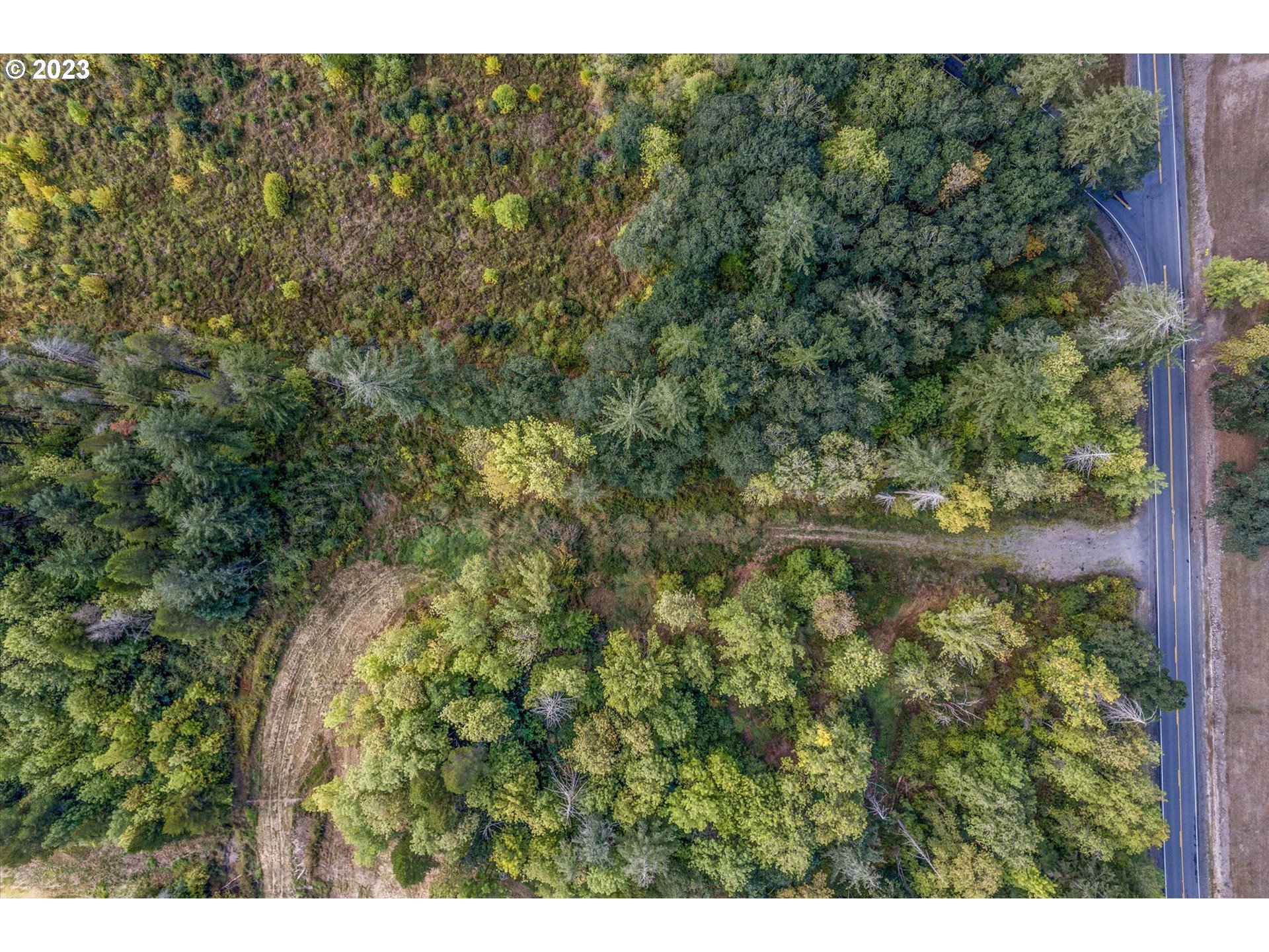128 Lacamas Lane Winlock, WA 98596 - Photo 16 of 26 a view of a forest with a street sign