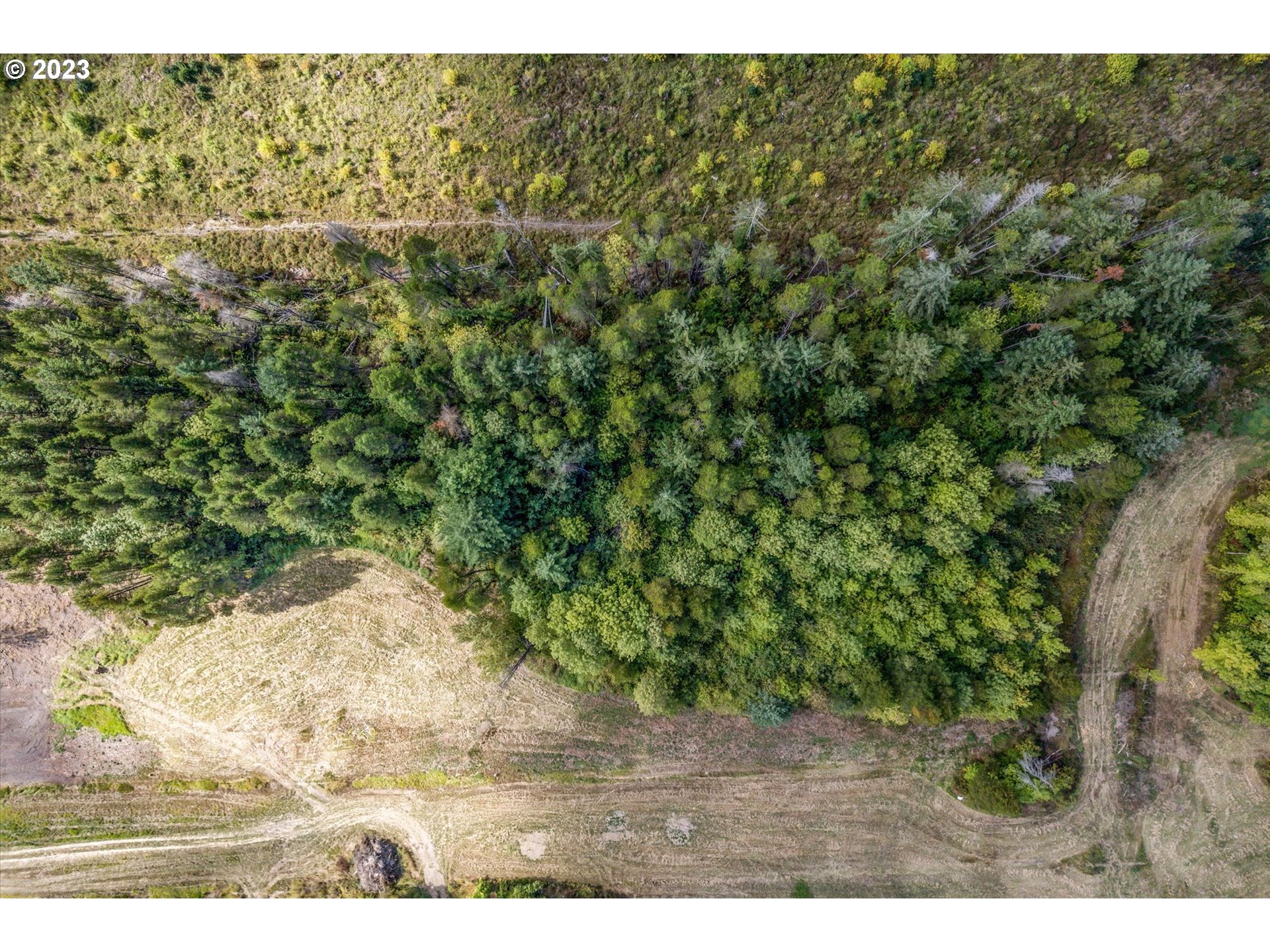 128 Lacamas Lane Winlock, WA 98596 - Photo 17 of 26 a view of a yard