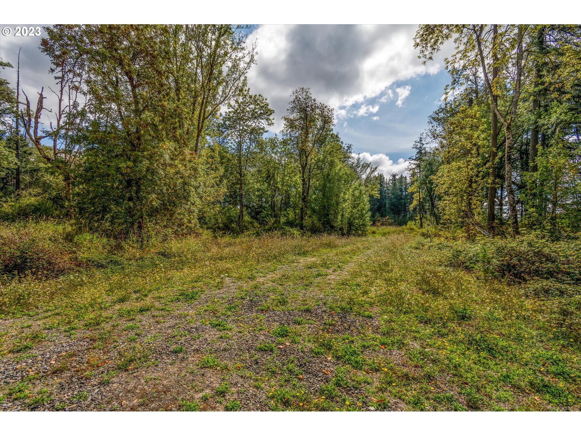 128 Lacamas Lane Winlock, WA 98596 - Photo 23 of 26 a view of outdoor space and a yard