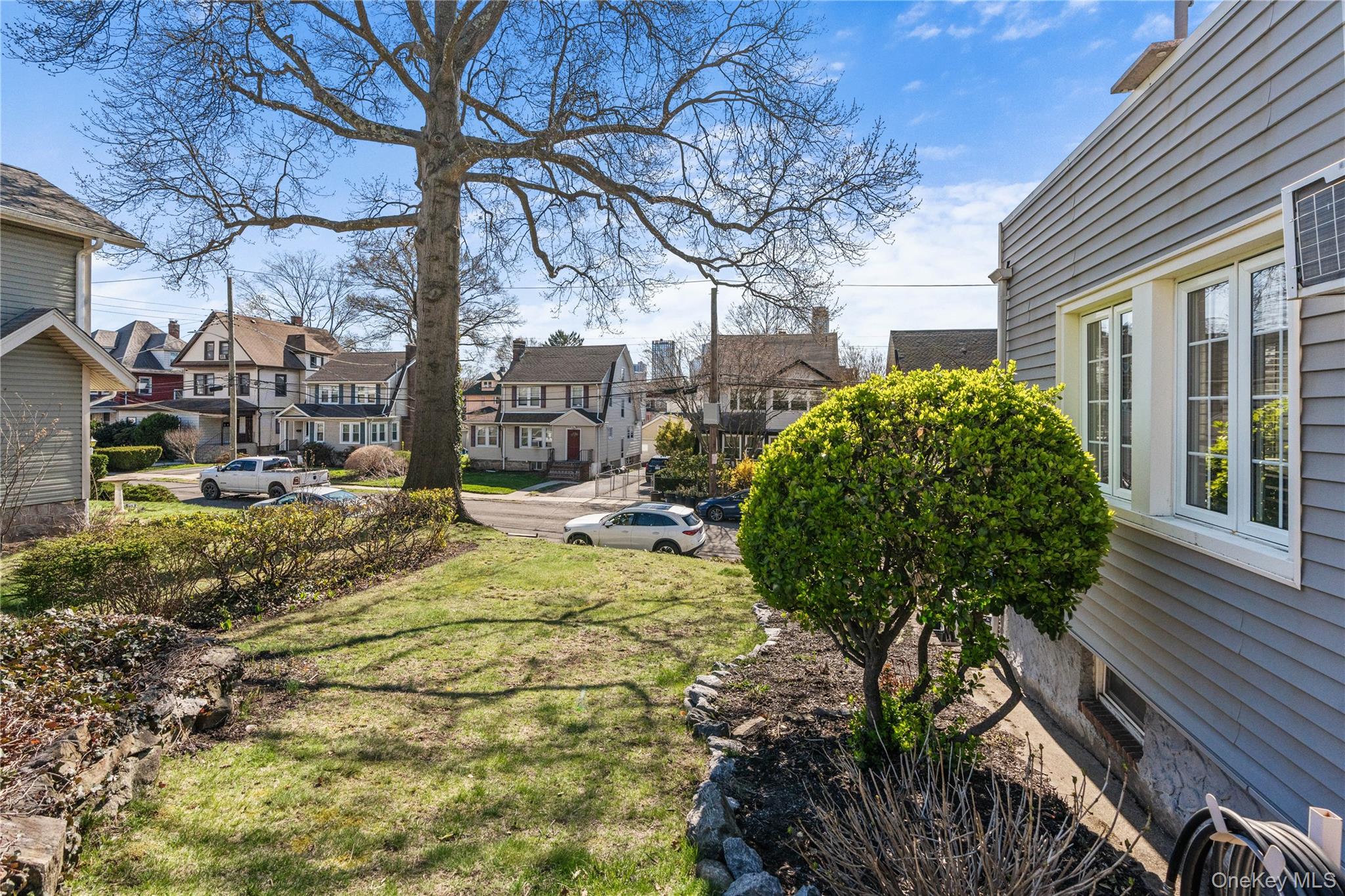 35 Lispenard Avenue New Rochelle, NY 10801 - Photo 35 of 37 a view of a garden with a tree