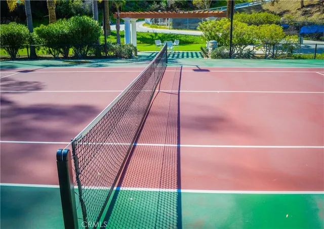 a view of a park with a tree