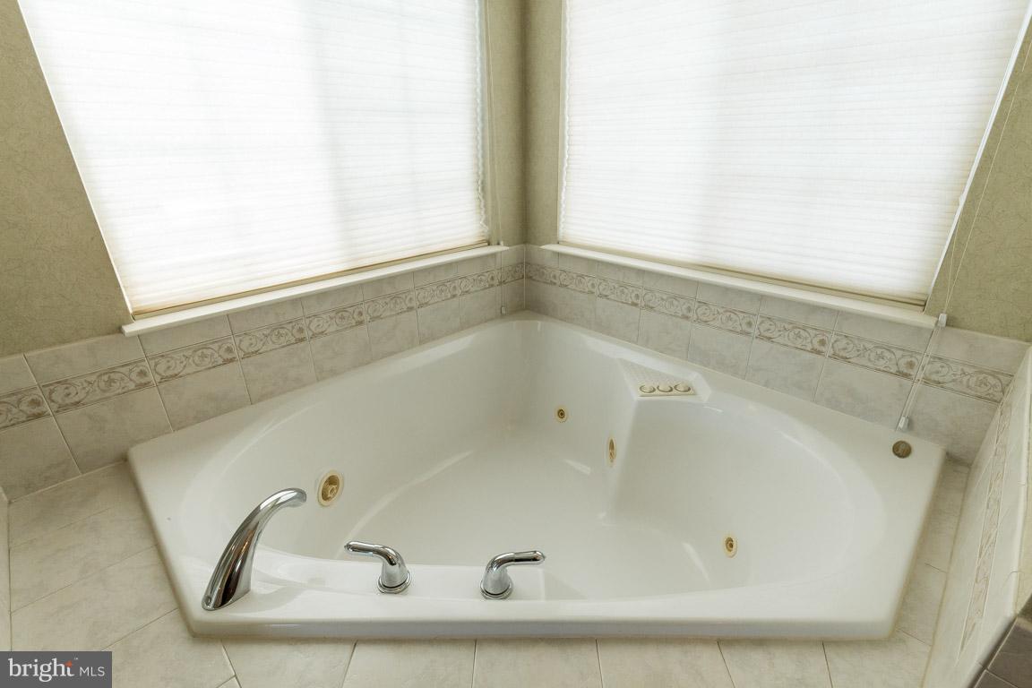 810 Deer Chase Road Culpeper, VA 22701 - Photo 22 of 30 Bath (Master)