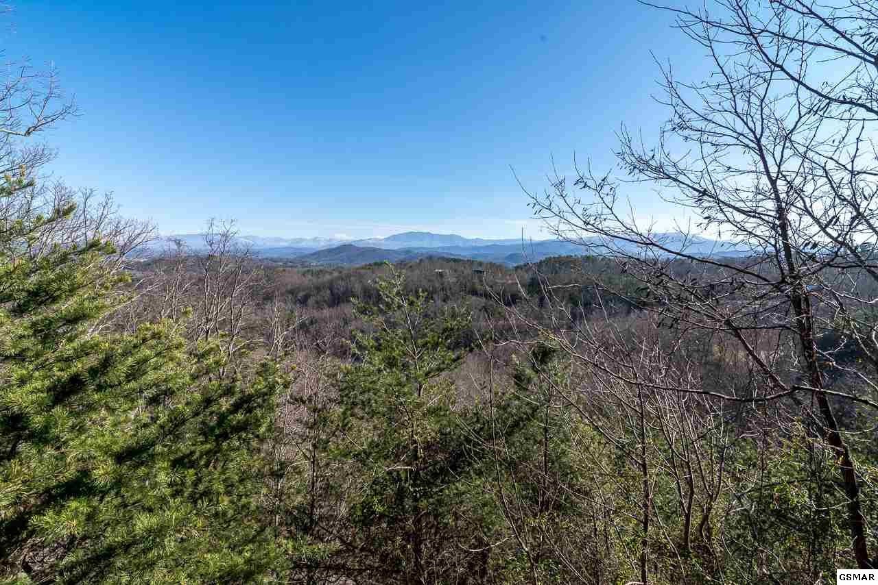 1910 Bluff Ridge Road, Unit AROOMWITHAVIEW Sevierville, TN 37876 - Photo 2 of 30 Gallery Image 2