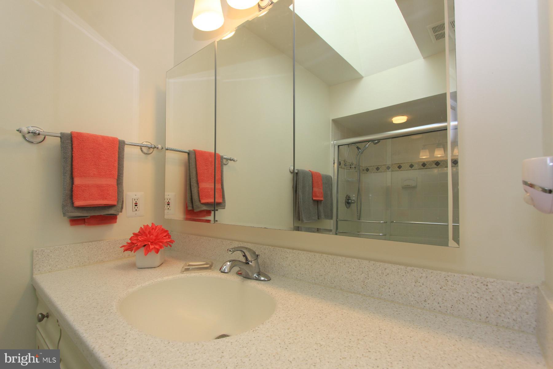 1583 Regatta Lane Reston, VA 20194 - Photo 17 of 30 Master Bath #2