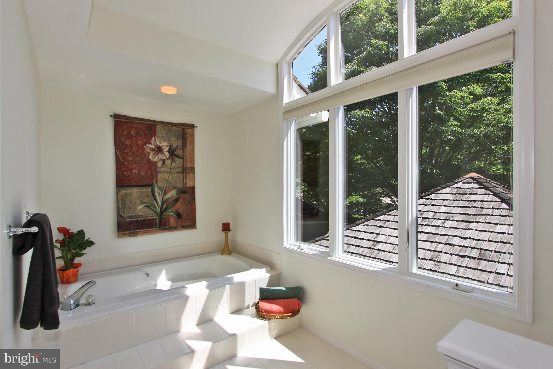 1583 Regatta Lane Reston, VA 20194 - Photo 18 of 30 Master Bath #1