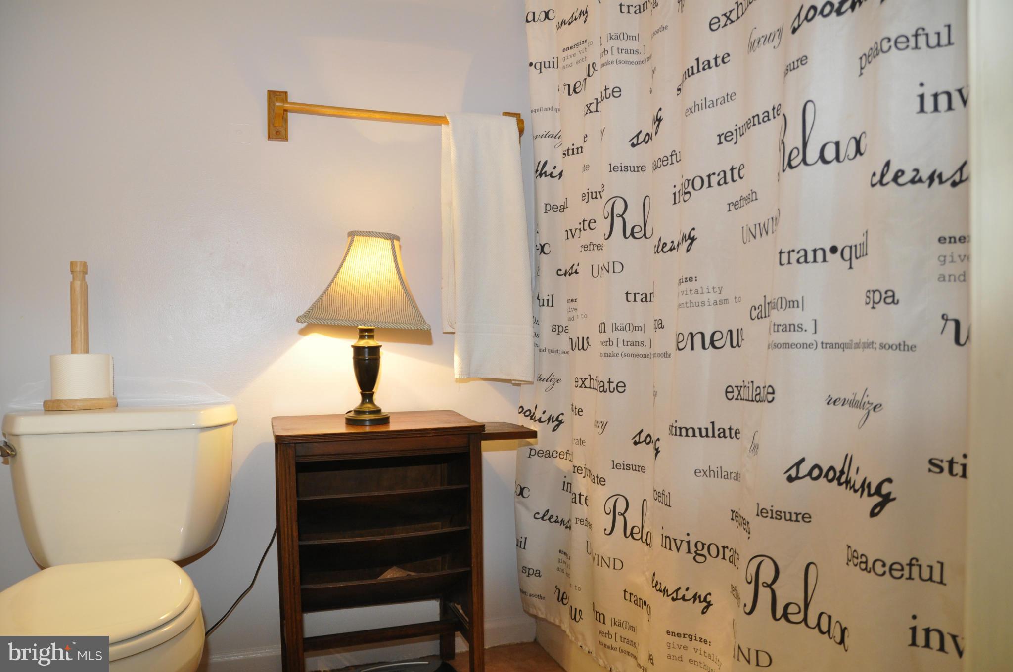 113 River Road Occoquan, VA 22125 - Photo 14 of 18 a bathroom with a sink a toilet and a mirror