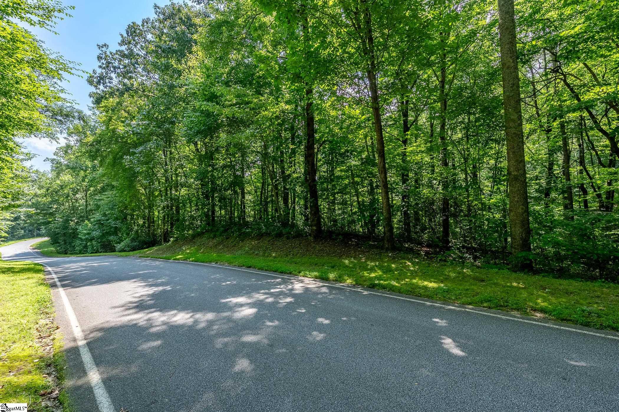 316 R-Pd-138 Landrum, SC 29356 - Photo 3 of 20 Gallery Image 3