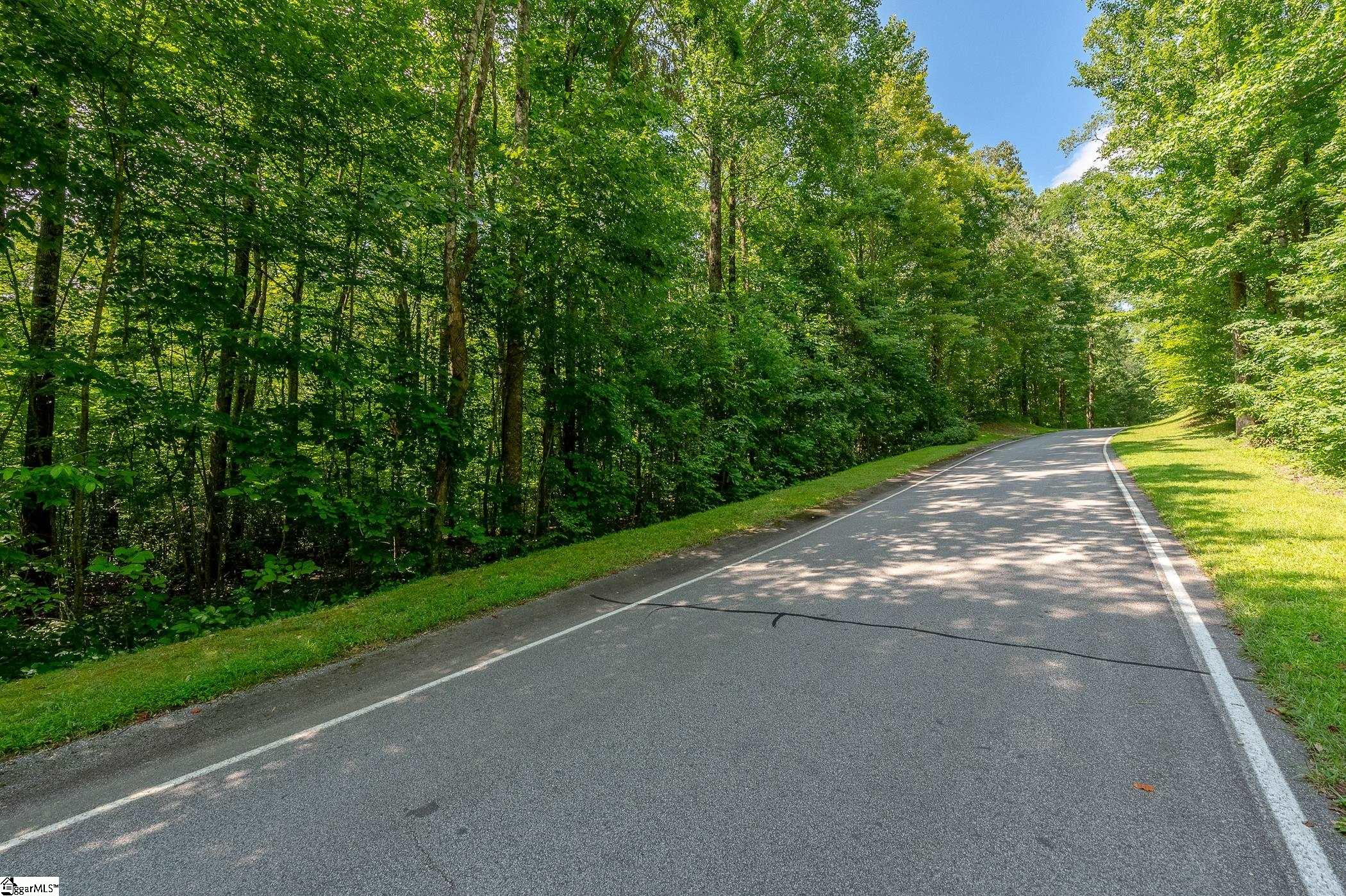 316 R-Pd-138 Landrum, SC 29356 - Photo 4 of 20 Gallery Image 4