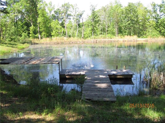135 Luffman Road Dickson, TN 37055 - Photo 13 of 19