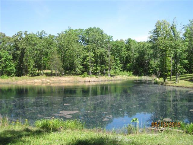 135 Luffman Road Dickson, TN 37055 - Photo 15 of 19