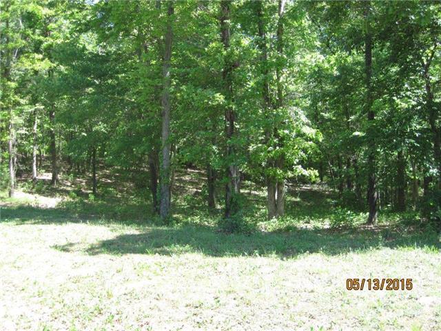 135 Luffman Road Dickson, TN 37055 - Photo 9 of 19
