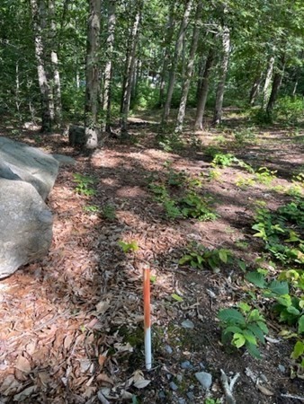 0 Rocky Hill Road Rehoboth, MA 02769 - Photo 2 of 7