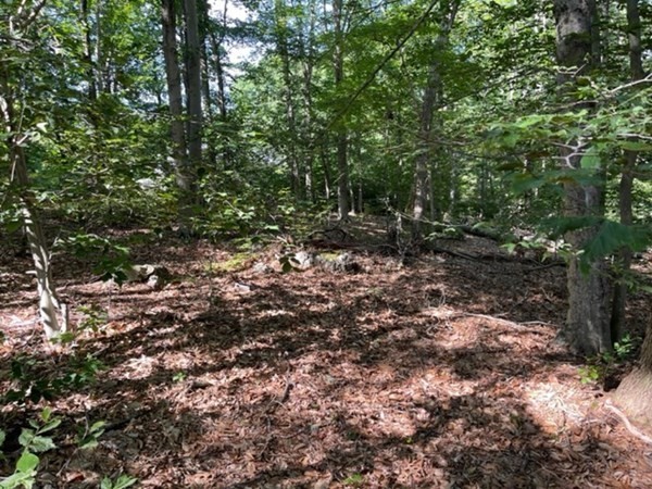 0 Rocky Hill Road Rehoboth, MA 02769 - Photo 3 of 7