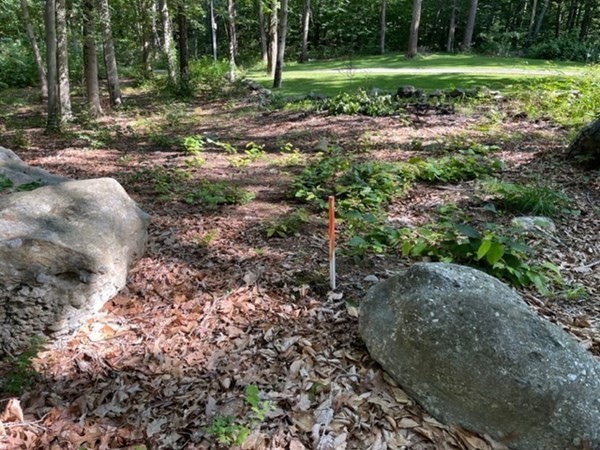 0 Rocky Hill Road Rehoboth, MA 02769 - Photo 4 of 7