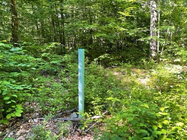 0 Rocky Hill Road Rehoboth, MA 02769 - Photo 5 of 7