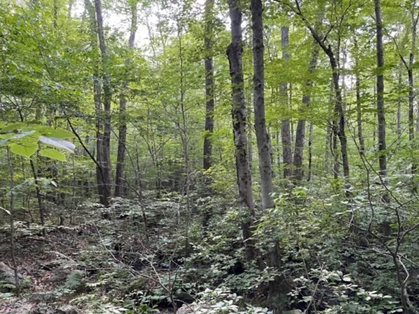 0 Rocky Hill Road Rehoboth, MA 02769 - Photo 6 of 7
