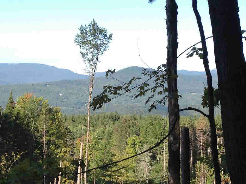 200 Story Road, Unit LOT D Moretown, VT 05660 - Photo 2 of 19
