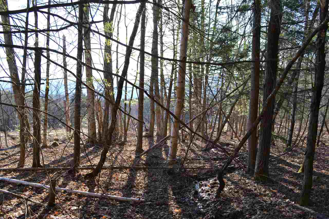 200 Story Road, Unit LOT D Moretown, VT 05660 - Photo 11 of 19