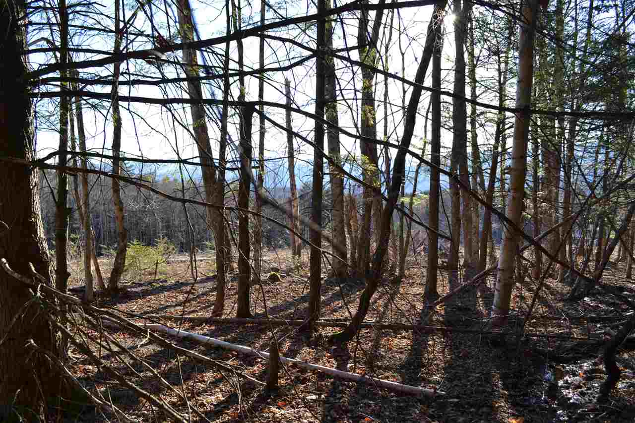 200 Story Road, Unit LOT D Moretown, VT 05660 - Photo 13 of 19