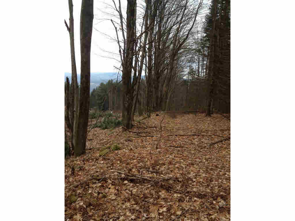 200 Story Road, Unit LOT D Moretown, VT 05660 - Photo 14 of 19