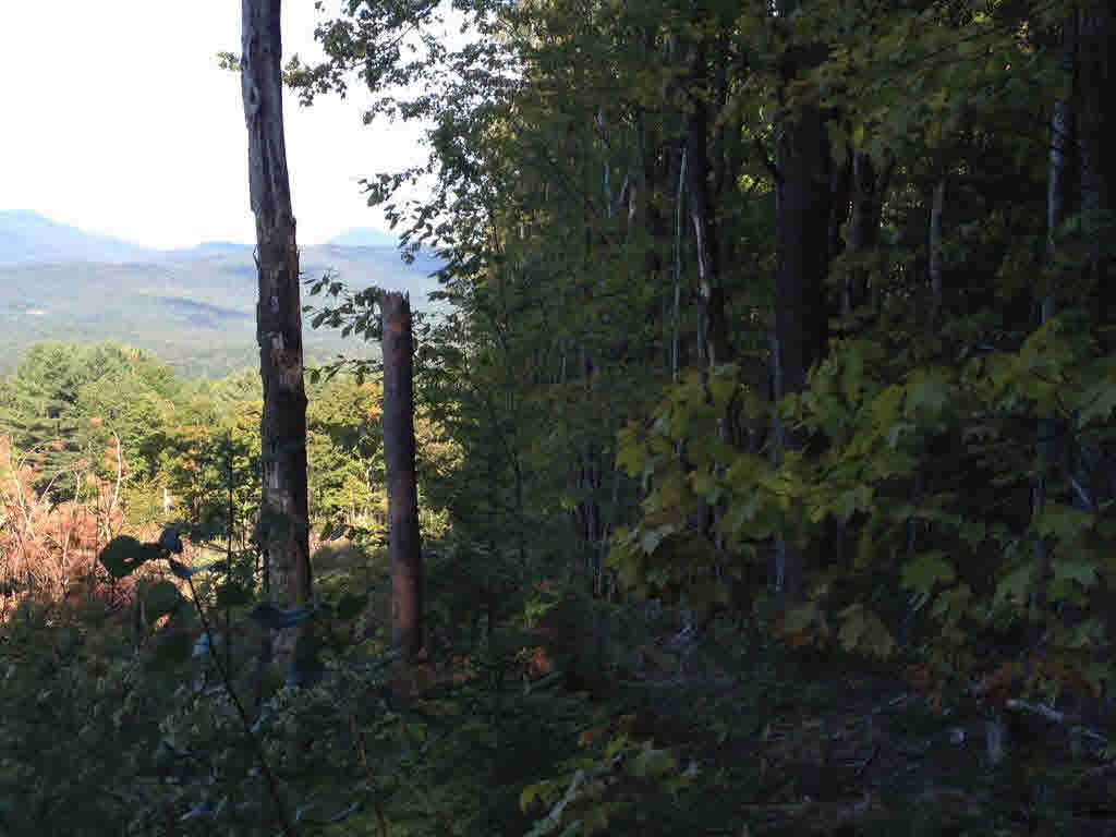 200 Story Road, Unit LOT D Moretown, VT 05660 - Photo 6 of 19