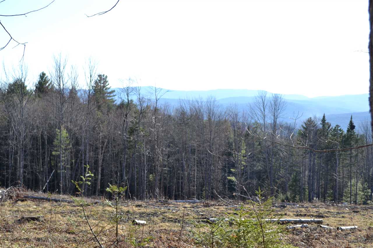 200 Story Road, Unit LOT D Moretown, VT 05660 - Photo 7 of 19