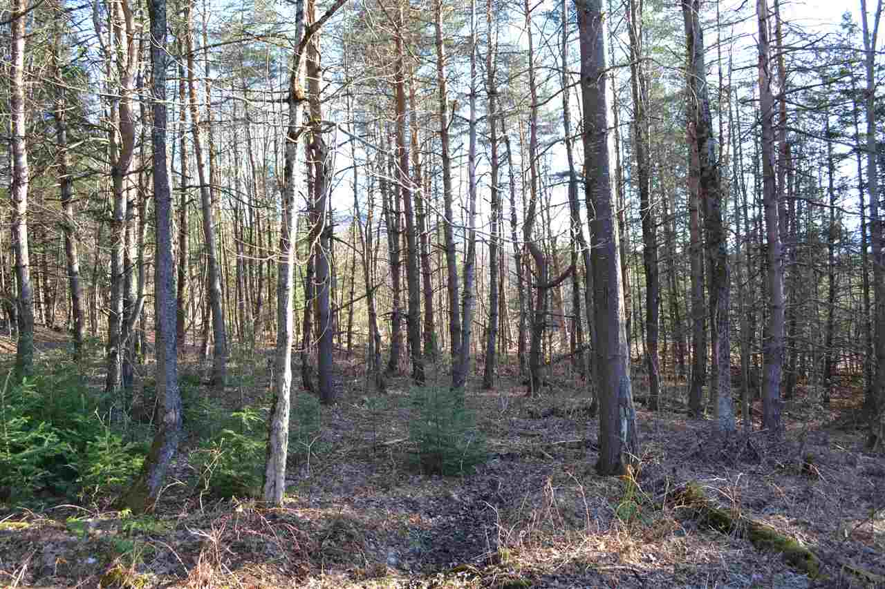 200 Story Road, Unit LOT D Moretown, VT 05660 - Photo 10 of 19