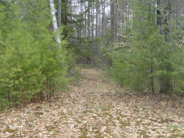 38 Wint Road Harrison, ME 04040 - Photo 28 of 34 Tote roads offer a nice walk for the dog