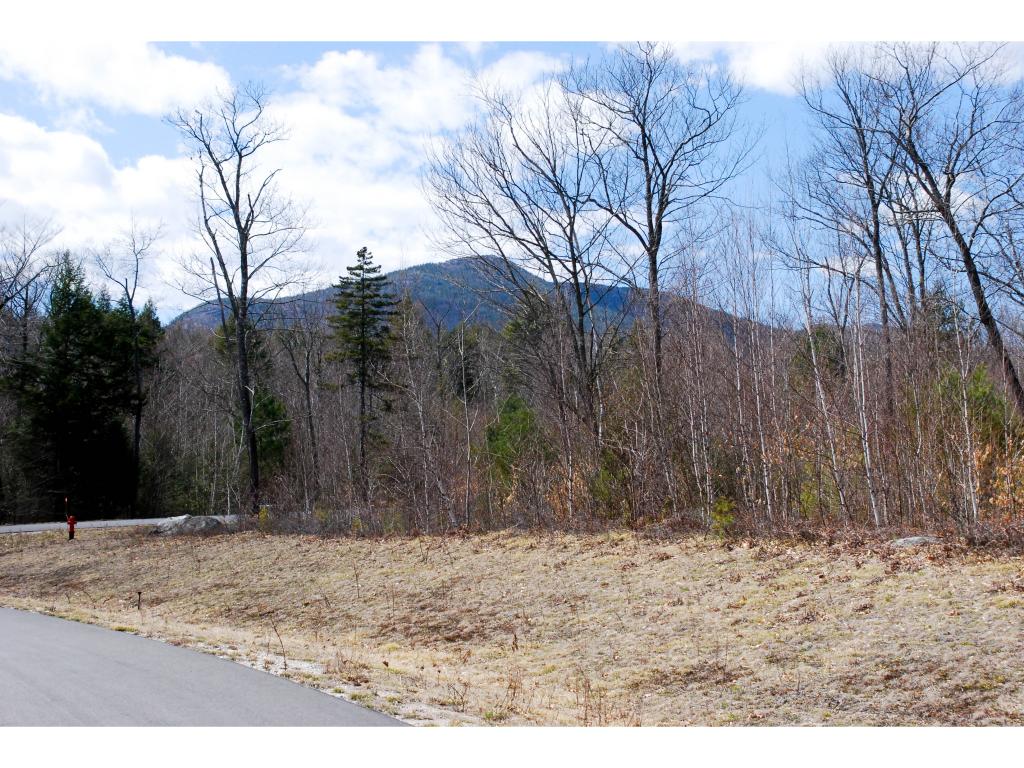 Lot 97 Grandview Road Conway, NH 03818 - Photo 4 of 13 Gallery Image 4