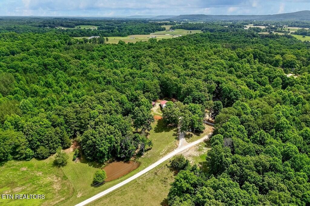211 Arizona Lane Walling, TN 38587 - Photo 37 of 60