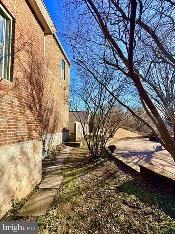 a view of road with large trees