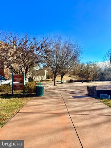 a street view with large trees