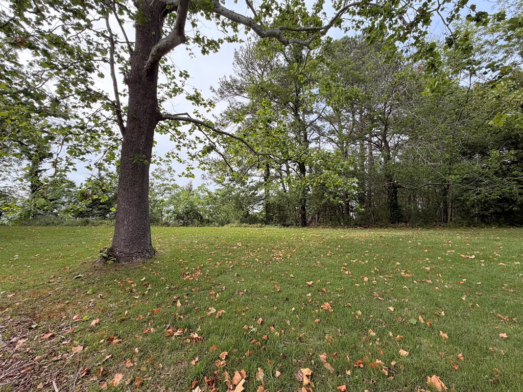 2246 Morley's Wharf Road Exmore, VA 23350 - Photo 11 of 53