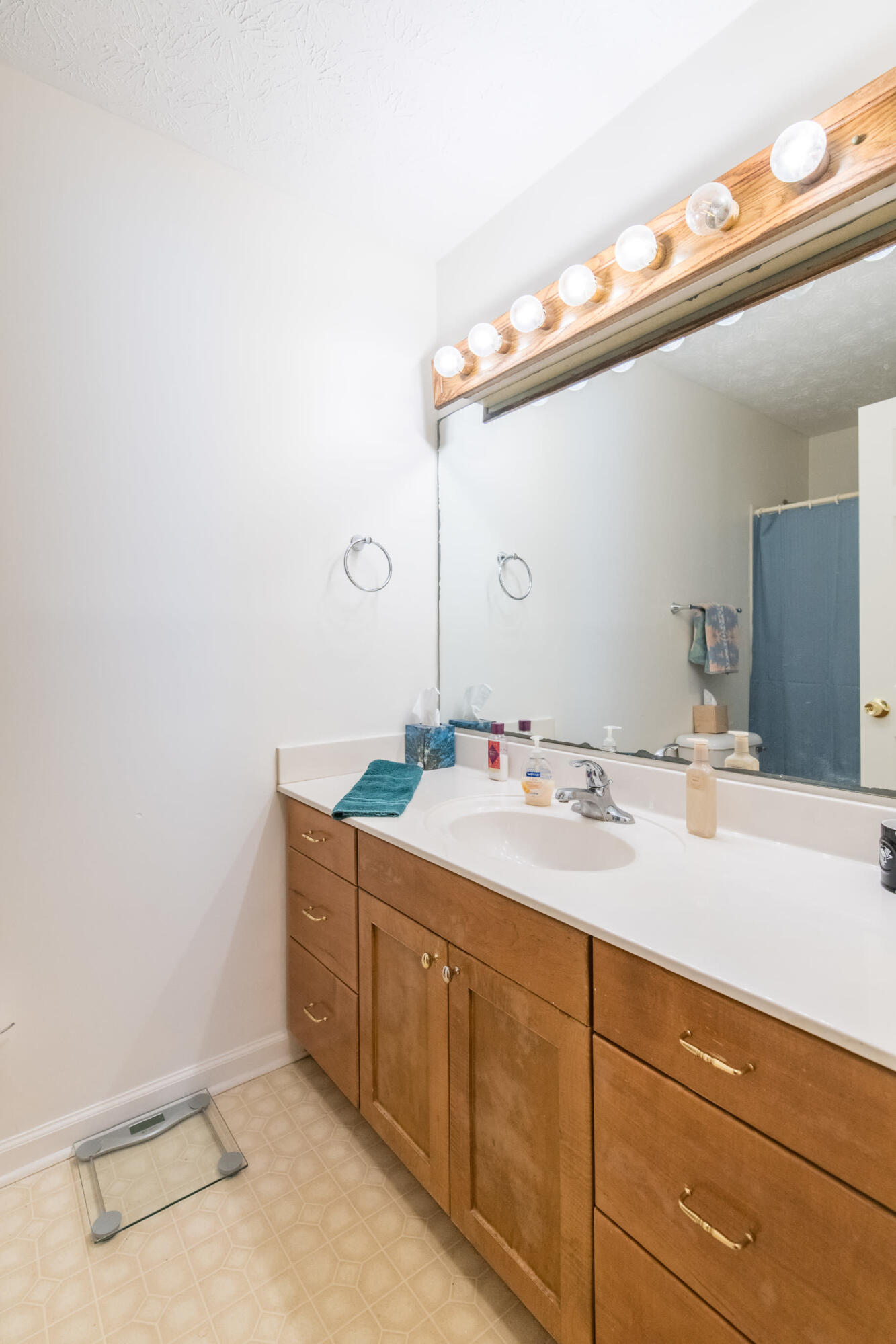 1017 Wedgewood Road Lexington, KY 40514 - Photo 22 of 28 20221024-1017-Wedgewood-Rd-TEMedia-019_w