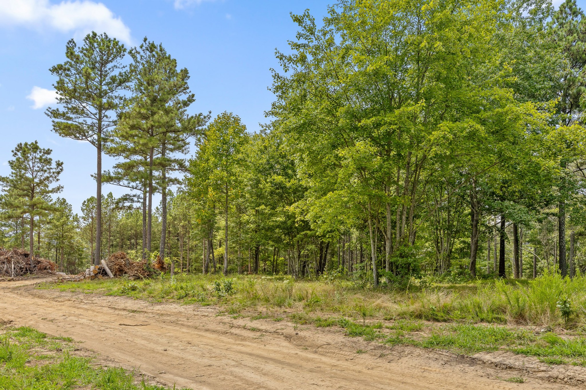 0 Whispering Way Guild, TN 37340 - Photo 12 of 39 a view of a yard with large trees