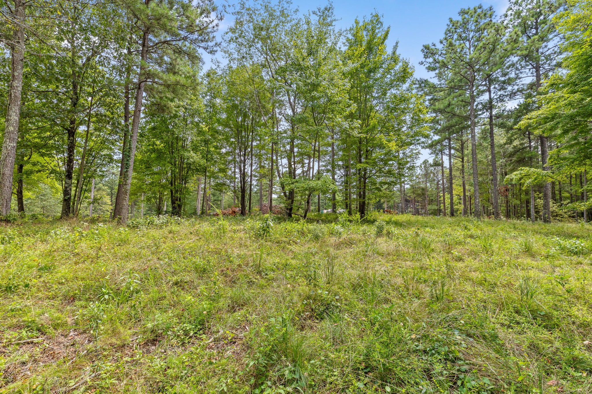 0 Whispering Way Guild, TN 37340 - Photo 19 of 39 a view of outdoor space with deck and yard