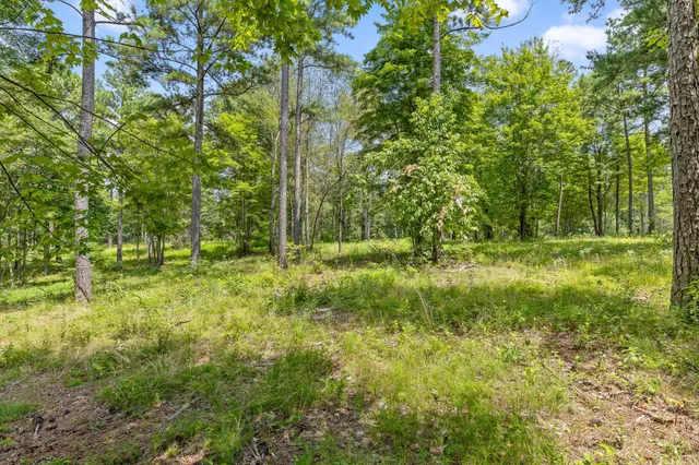 a view of outdoor space and yard
