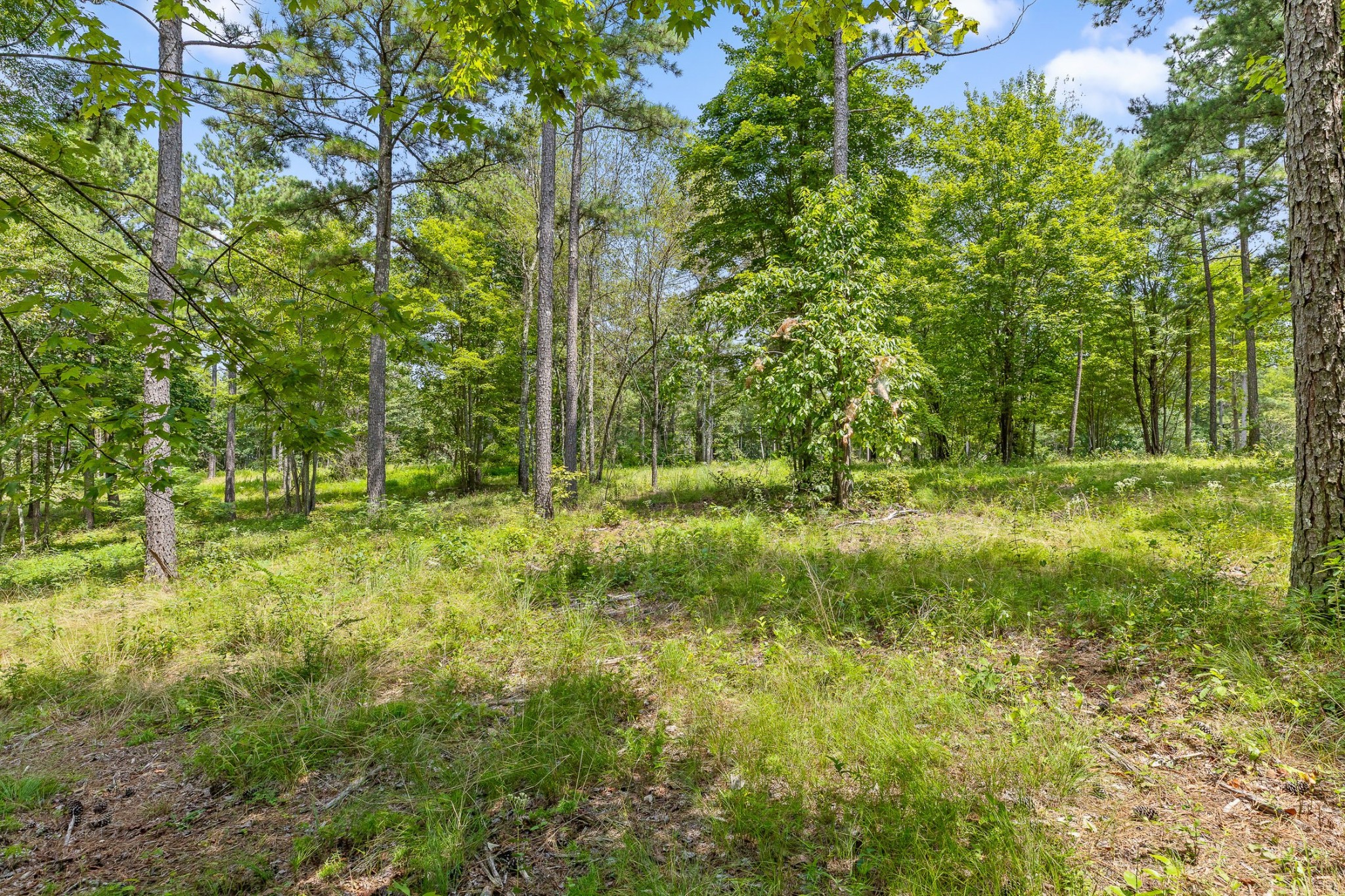 0 Whispering Way Guild, TN 37340 - Photo 23 of 39 a view of outdoor space and yard