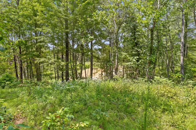 a view of yard with green space