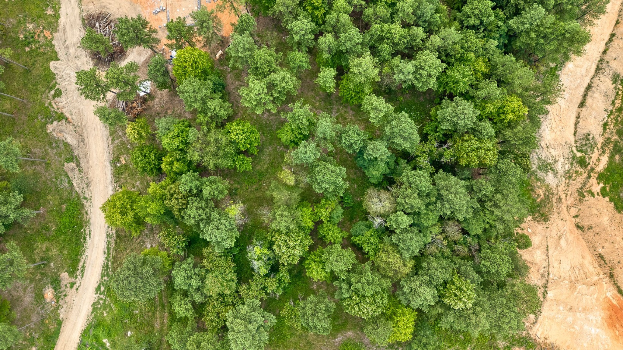 0 Whispering Way Guild, TN 37340 - Photo 26 of 39 a view of a lush green forest with large trees