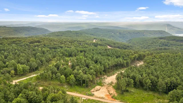 a view of a lake with a forest
