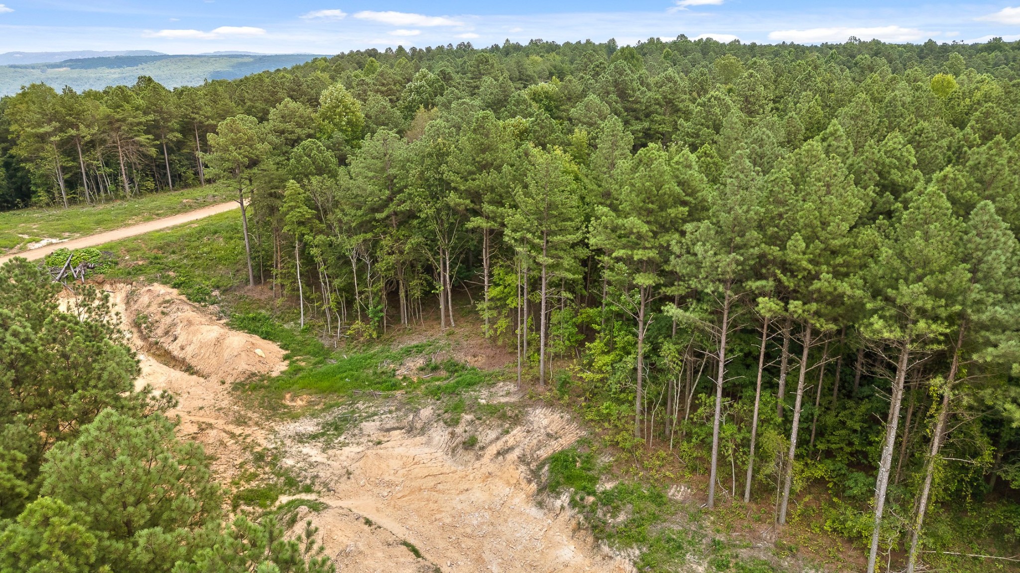 0 Whispering Way Guild, TN 37340 - Photo 29 of 39 a view of a lake with a forest