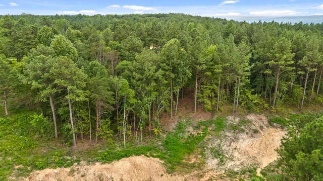 a view of a yard with an outdoor space