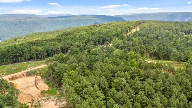 a view of a yard with an outdoor space