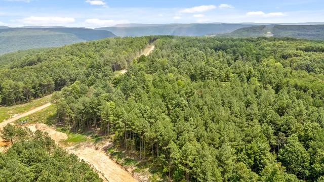 a view of a field with an ocean