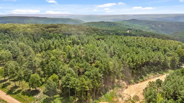 a view of a lush green hillside and a building