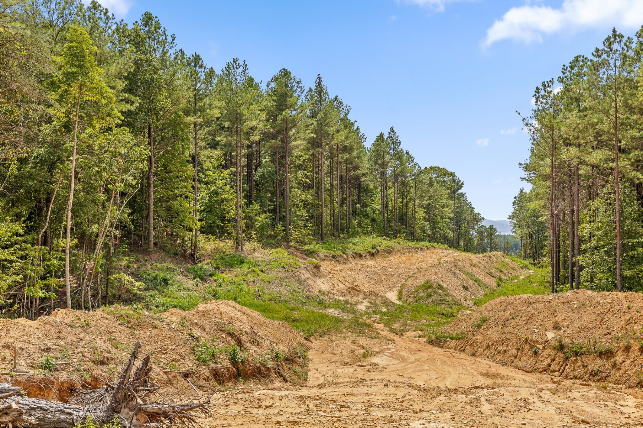 0 Whispering Way Guild, TN 37340 - Photo 37 of 39 a view of a yard with a tree