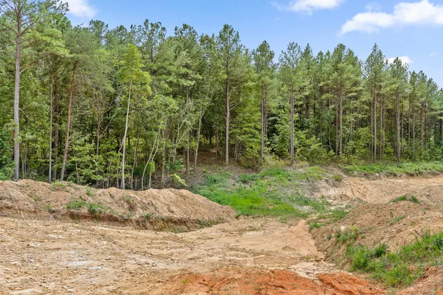 a view of a yard with a tree