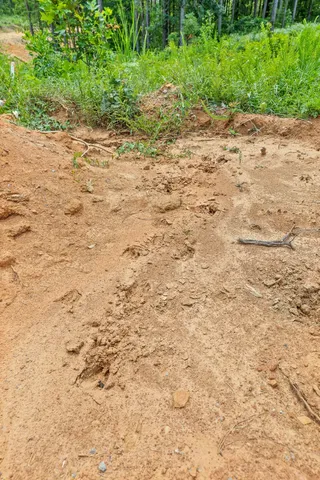 $249,900 | 0 Whispering Way, Guild, TN 37340